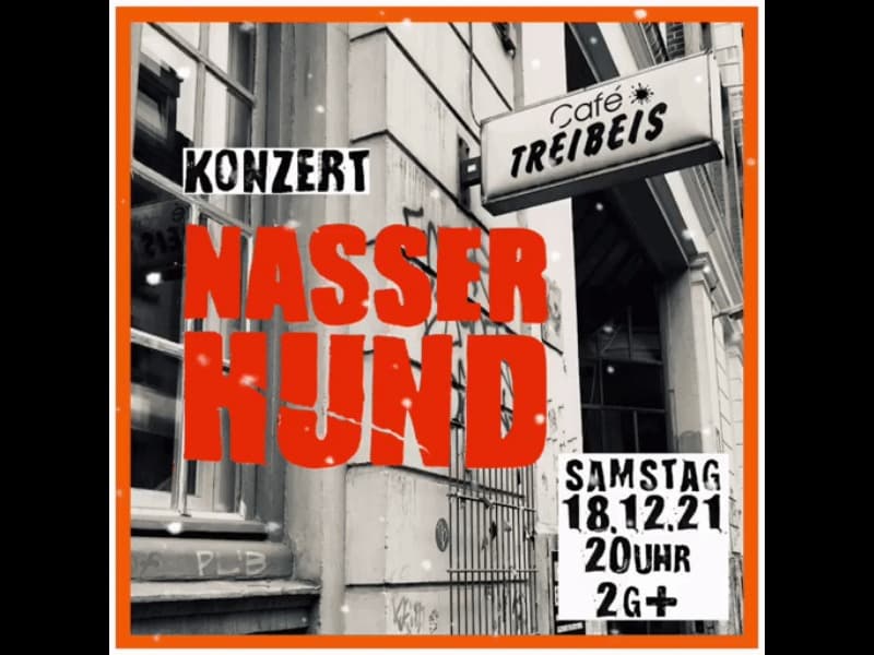 Nasser Hund im Café Treibeis